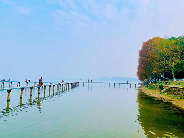 武汉大学(文理学部)-凌波门