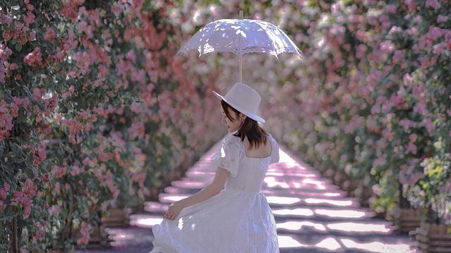 广富林郊野公园