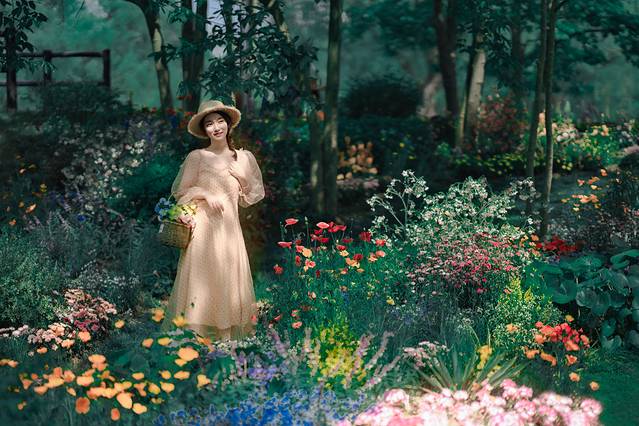 上海共青森林公园