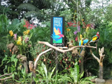 吉隆坡飞禽公园