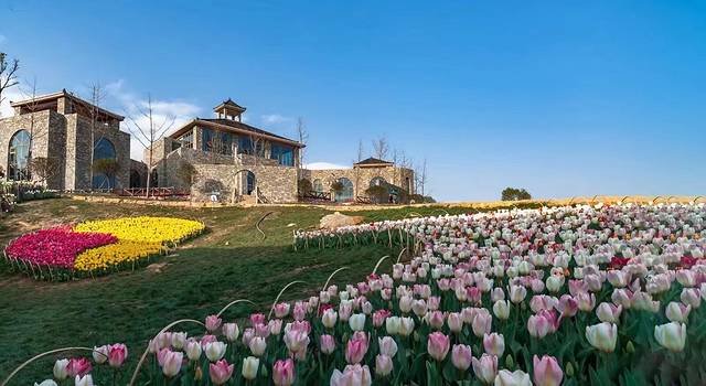 凉都花海温泉旅游度假区