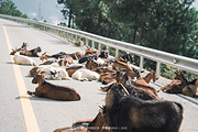 凉山旅游景点攻略图片