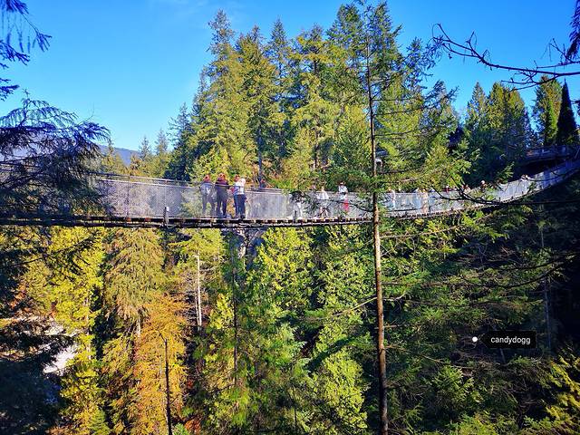 卡皮拉诺吊桥公园