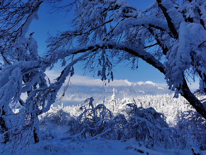云海之上，贡嘎之巅，王岗坪冰雪之旅图片
