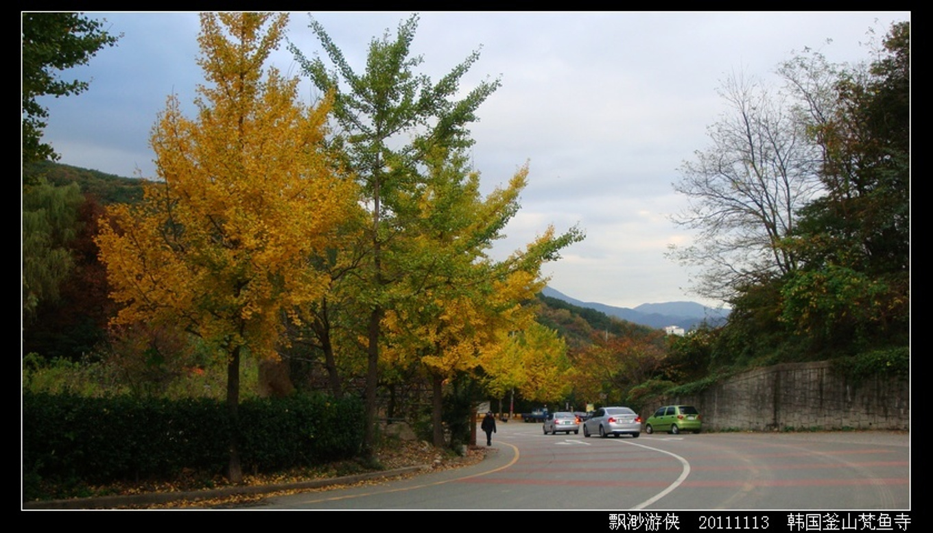 游侠看世界--韩国釜山梵鱼寺（Pomosa）-波莫斯旅游攻略-游记-去哪儿攻略