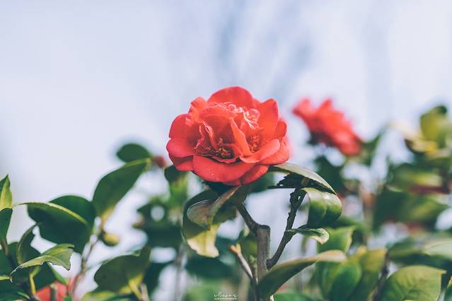 中国·长沙后湖国际艺术区