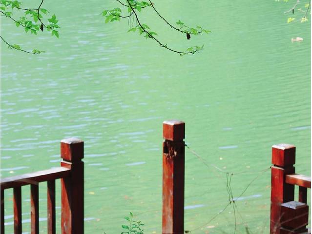 青龙山国家森林公园