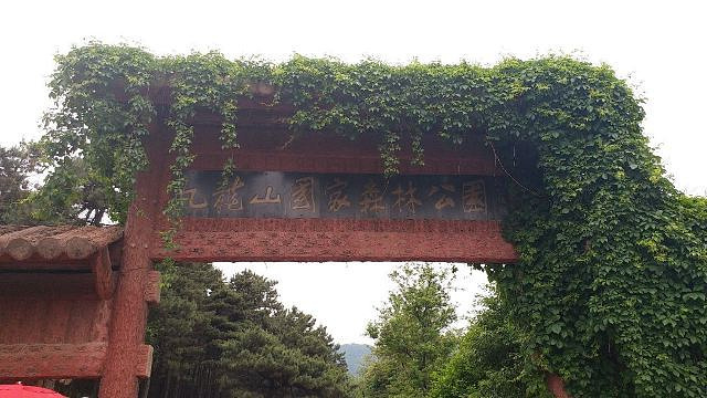 九龙山国家森林公园旅游景点图片