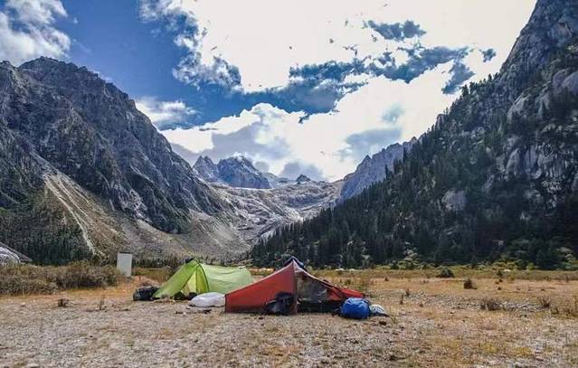 乐湖水上森林公园