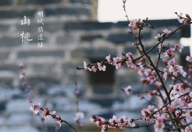 明城墙遗址公园