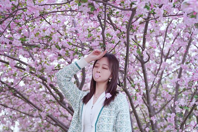 郑州市碧沙岗公园