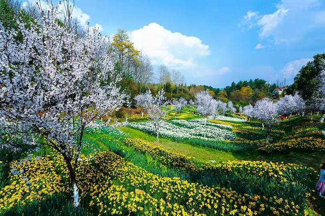 龙架山森林公园