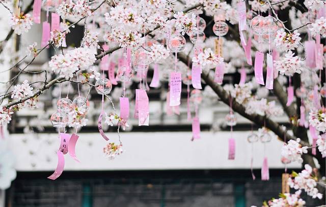 禅意小镇·拈花湾