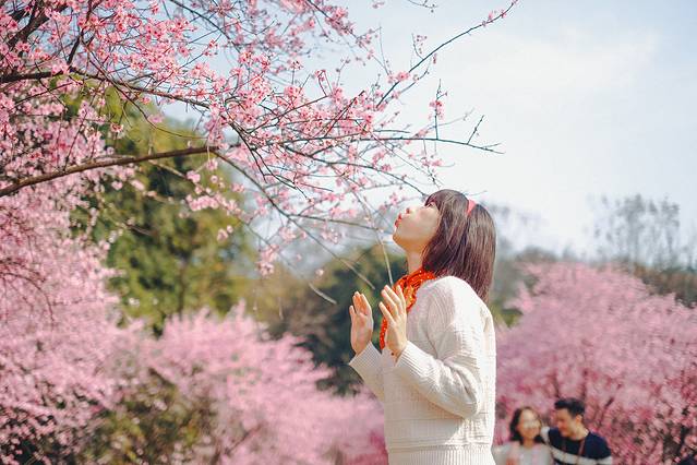 照母山森林公园