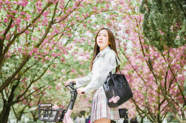 西安交通大学(兴庆校区)