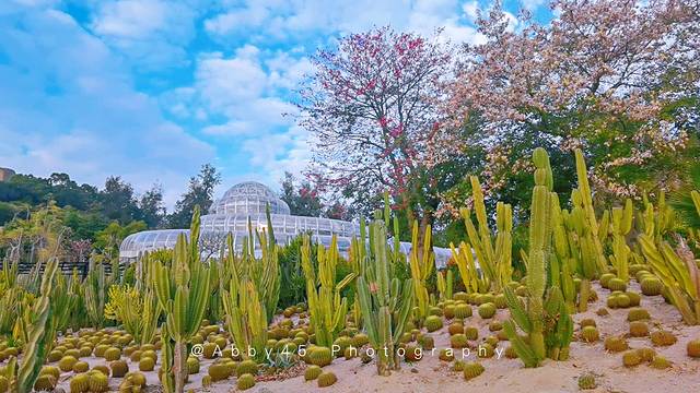 厦门园林植物园