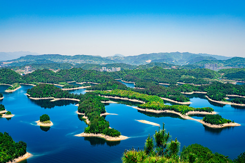 千岛湖景区的图片
