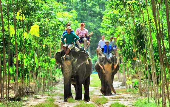 卡贝大象营旅游景点图片