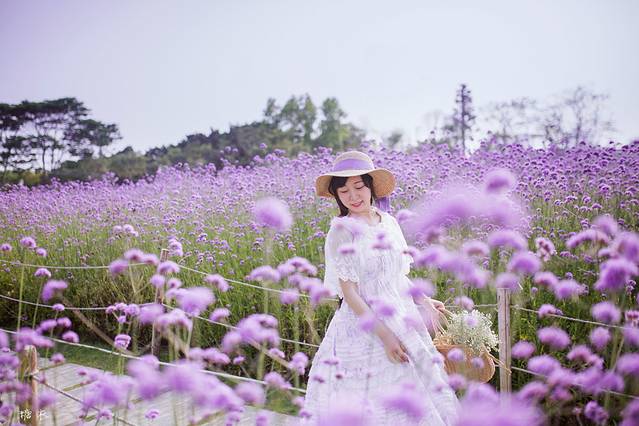 深圳湾公园-流花山