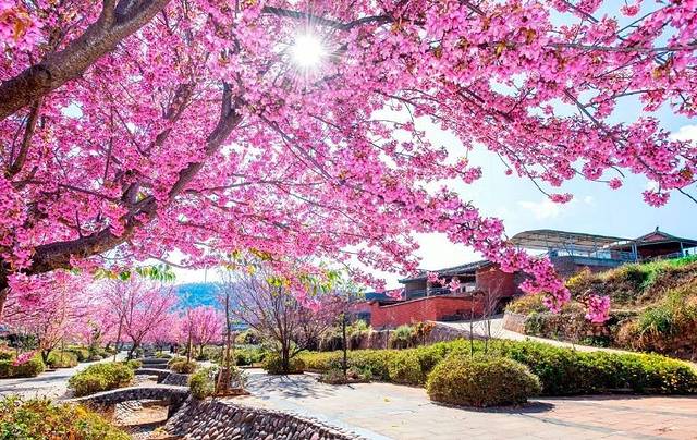 迤沙拉民族文化村