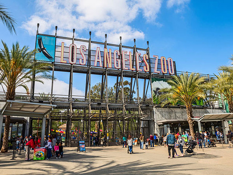 洛杉矶动物园旅游景点图片