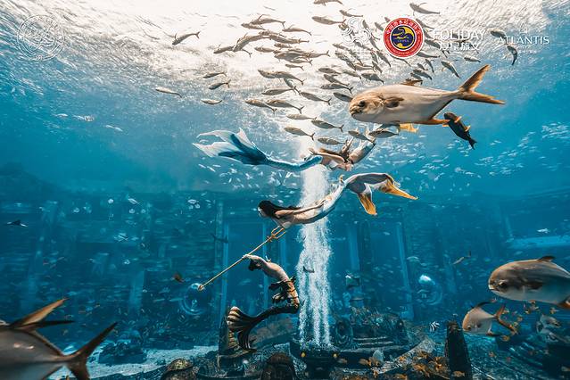 三亚亚特兰蒂斯水世界