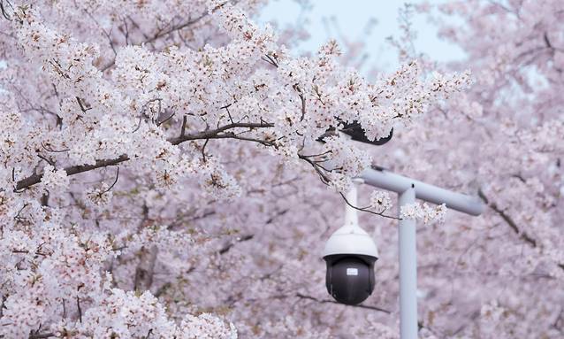 龙美术馆(西岸馆)