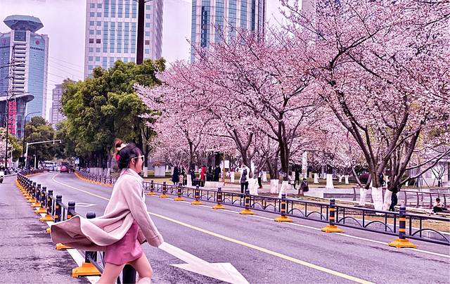 西北湖绿化广场