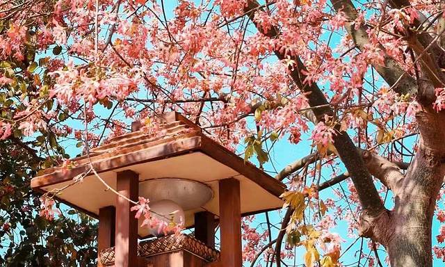 风云岭森林公园