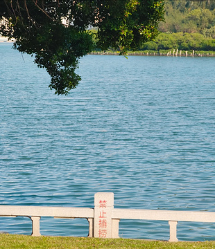 白鹭洲公园旅游景点攻略图