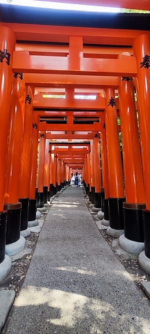 "在日本文化中，狐狸是一种非常重要的动物，被广泛崇拜和膜拜。神社入口门前的小超市买的大福，好吃哦！大门_伏见稻荷大社"的评论图片