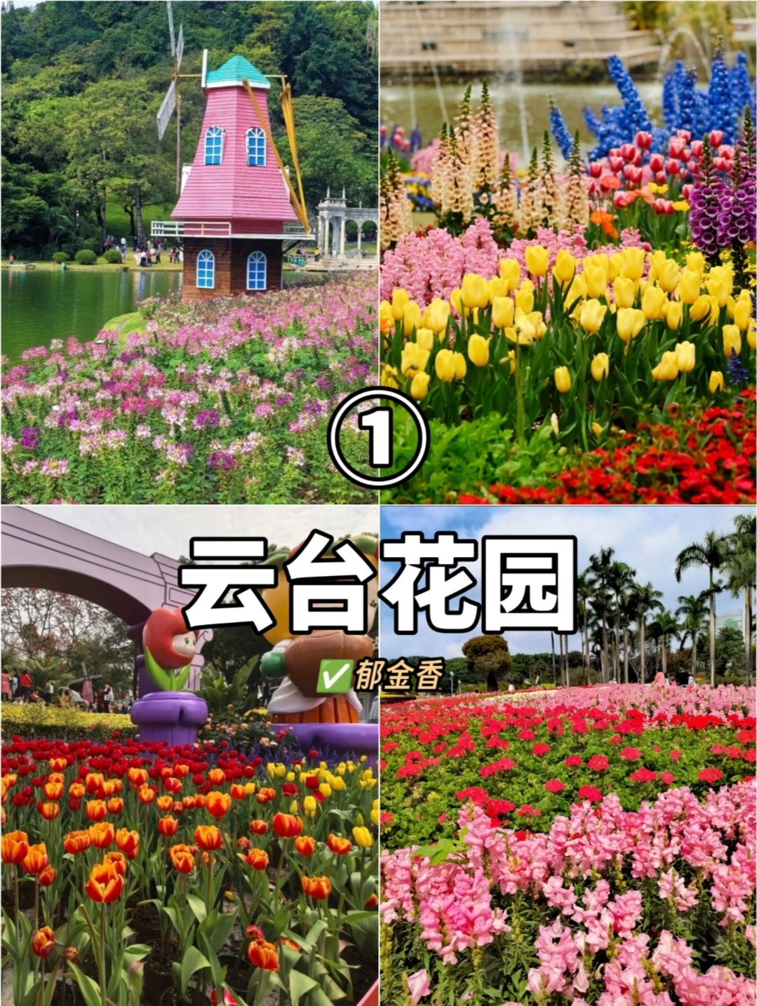 广州洲头咀公园实拍图