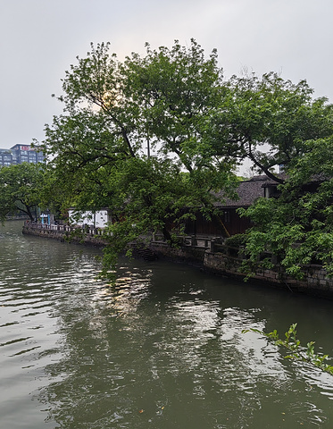 "访古华光桥，属于杭州的春和景明_霞湾公园"的评论图片