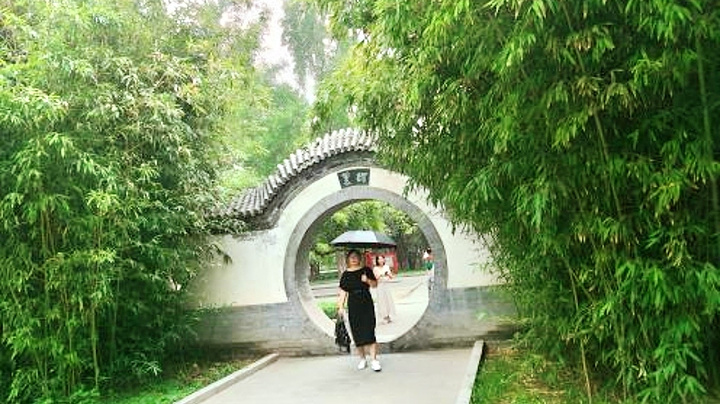 "北京的秘密藏在地坛公园，这里的故事等你来发掘！_地坛公园银杏大道"的评论图片