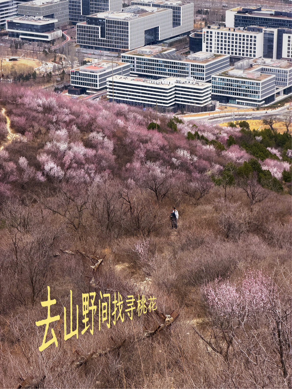 北京虎峰朝曦(虎头山观景平台)实拍图