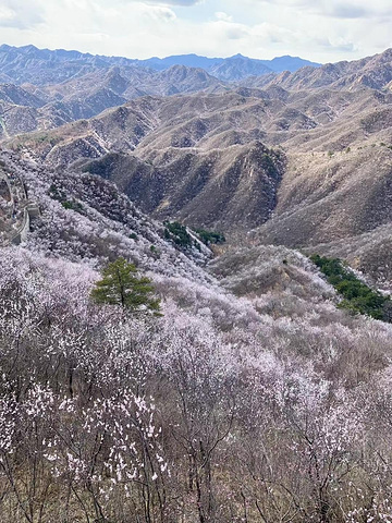 "探秘北京周边的历史奇迹，西水峪的黄花城水长城等你来发现！_黄花城水长城"的评论图片