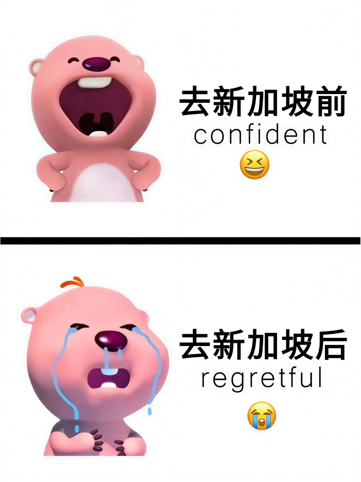 新加坡滨海湾花园实拍图