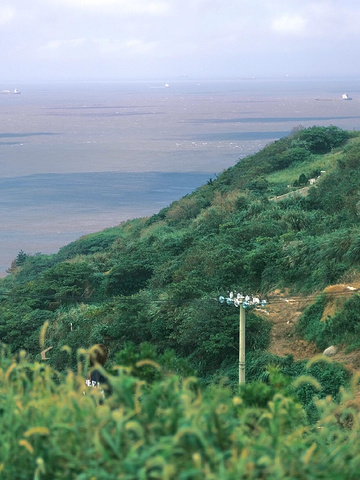 "夏日国内小众海岛探秘🏝 远离尘嚣的枸杞岛之旅🌊_枸杞岛"的评论图片