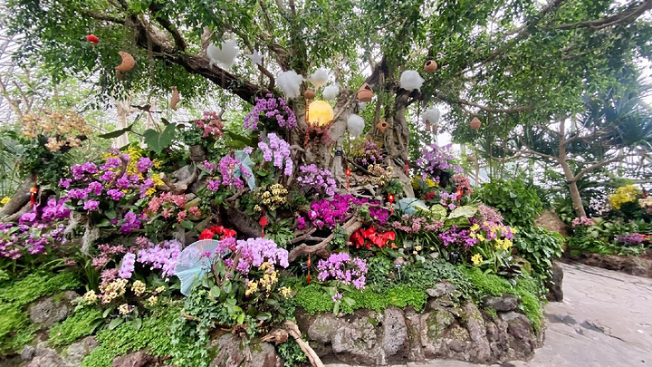 "辰山植物园新发现：珍稀植物惊艳亮相，错过等一年！_上海辰山植物园"的评论图片