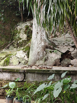 华岩寺旅游景点攻略图