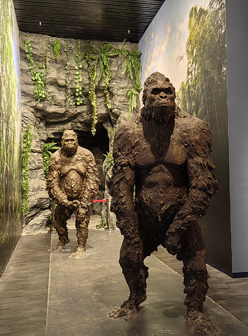 "南蛮不蛮，柳州竟是世界巨猿的故乡！_柳州白莲洞古人类遗址博物馆"的评论图片