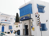 突尼斯旅游景点攻略图片