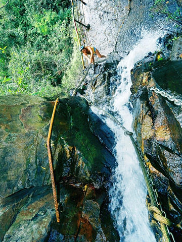 "五月免探访海南的神秘热带雨林天堂_呀诺达雨林文化旅游区"的评论图片