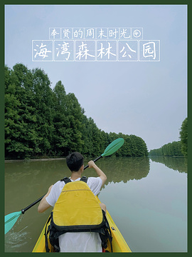 上海海湾国家森林公园旅游景点攻略图