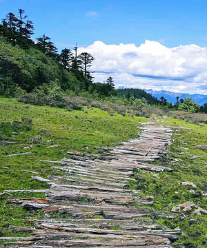 云南香格里拉中虎跳峡旅游景点攻略图