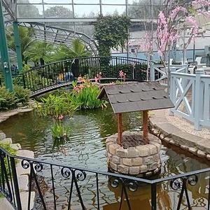 阿伯丁植物园实拍图