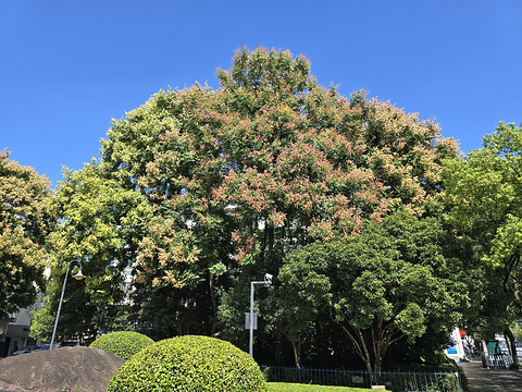 水亭门旅游景点攻略图
