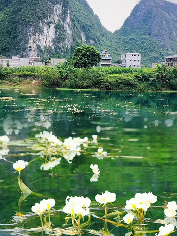 "天呢!这里的水质太干净啦!美爆了!_吞榜天窗"的评论图片