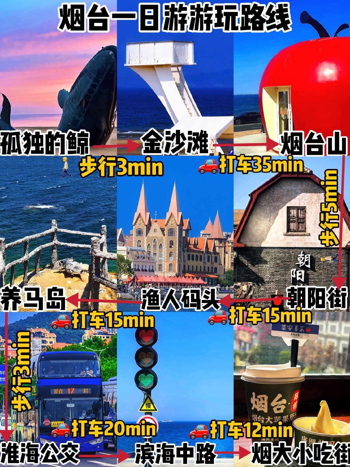 烟台孤独的鲸实拍图