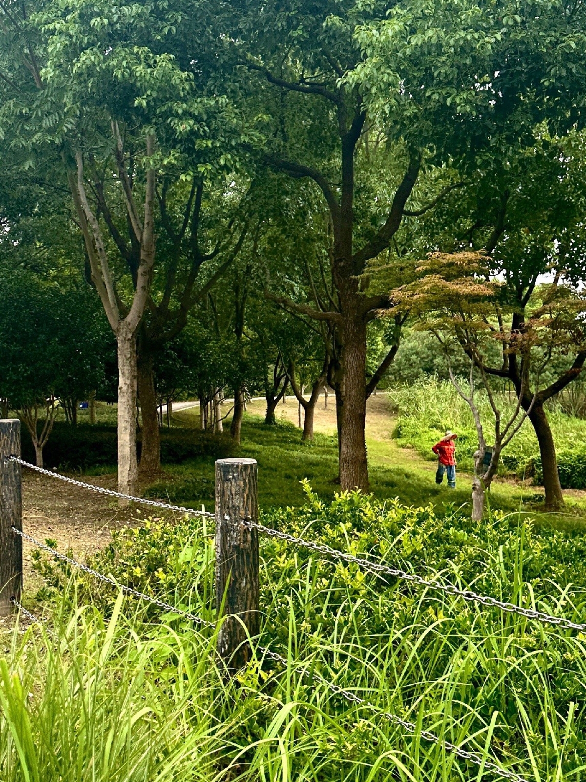 由布市佛山寺实拍图